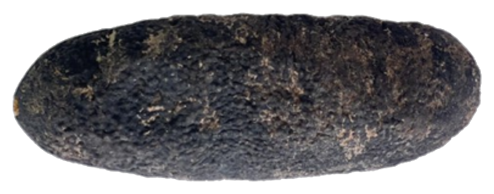 Black Fish dried sea cucumber