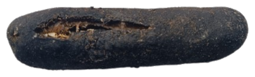 Black Tiger dried sea cucumber