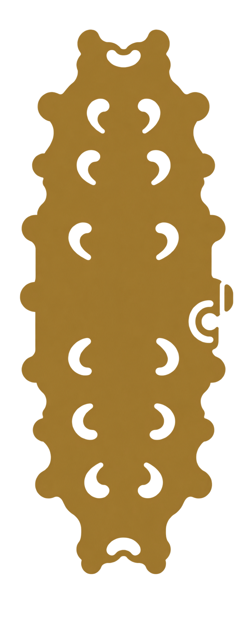 Sea cucumber icon
